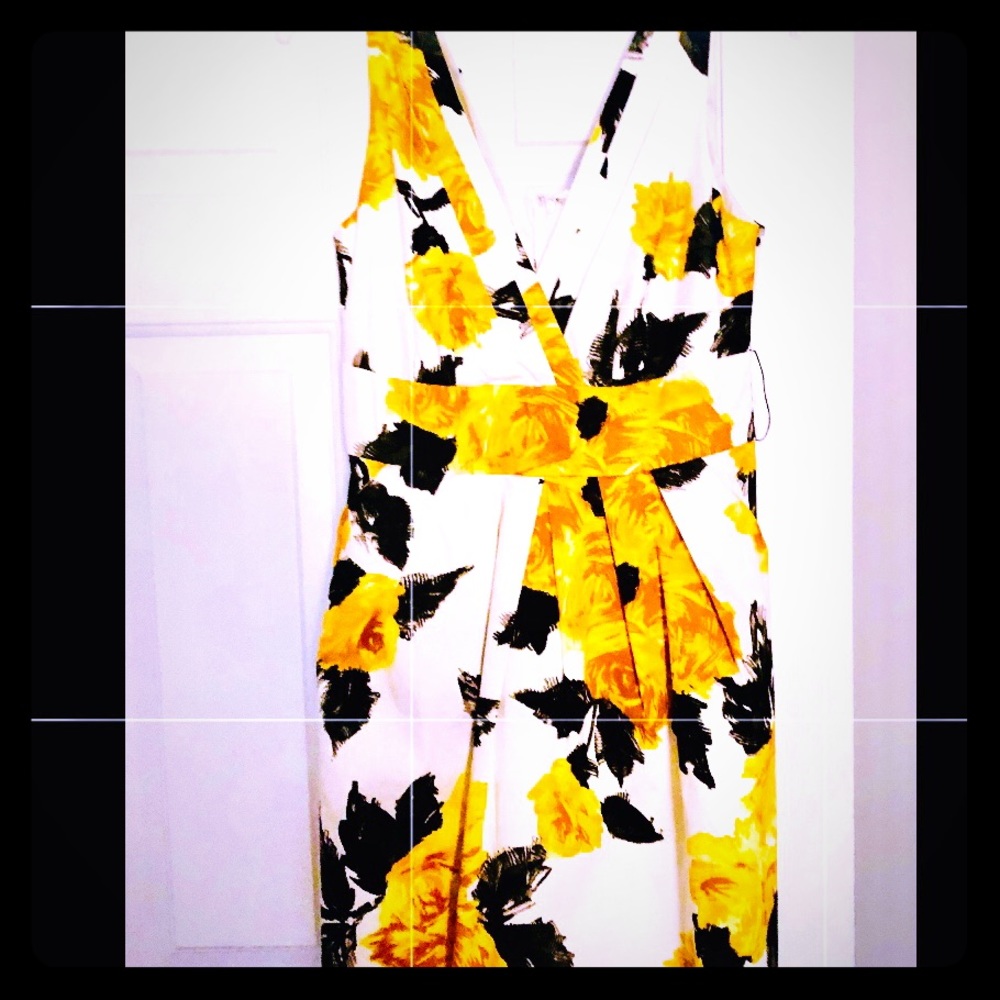Cute summer/spring all occasion dress!